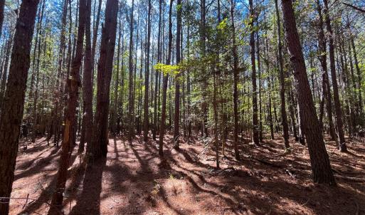 Photo #28 of Off Cypress Chapel Rd, Whaleyville, VA 14.9 acres