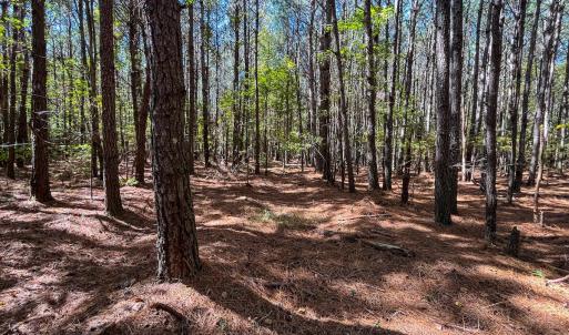 Photo #30 of Off Cypress Chapel Rd, Whaleyville, VA 14.9 acres