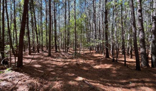 Photo #31 of Off Cypress Chapel Rd, Whaleyville, VA 14.9 acres