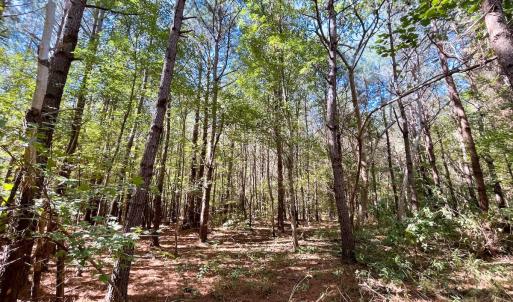 Photo #32 of Off Cypress Chapel Rd, Whaleyville, VA 14.9 acres