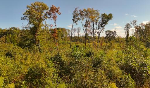 Photo #12 of Off Mack Rd, Asheboro, NC 6.7 acres