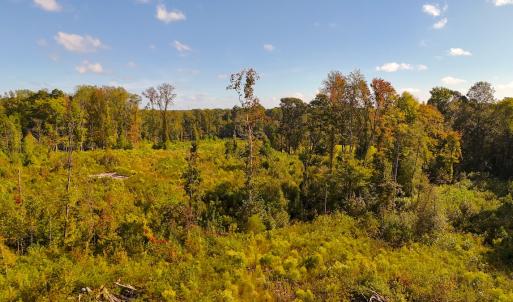 Photo #16 of Off Mack Rd, Asheboro, NC 6.7 acres