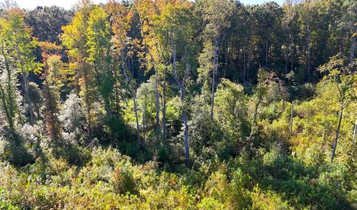Photo #4 of Off Mack Rd, Asheboro, NC 6.7 acres