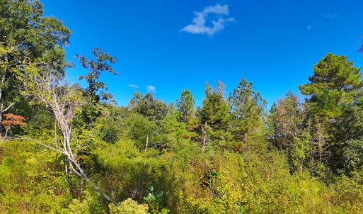 Photo #5 of Off Mack Rd, Asheboro, NC 6.7 acres