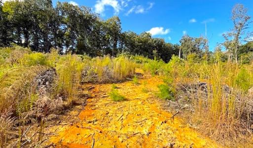 Photo #7 of Off Mack Rd, Asheboro, NC 6.7 acres