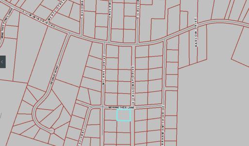 Photo #31 of Off Meriwether Ln, Haw River, NC 1.0 acres