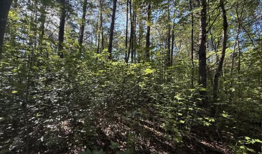 Photo #10 of Off Meriwether Ln, Haw River, NC 1.0 acres