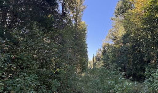Photo #11 of Off Meriwether Ln, Haw River, NC 1.0 acres