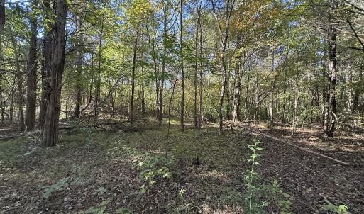 Photo #19 of Off Meriwether Ln, Haw River, NC 1.0 acres