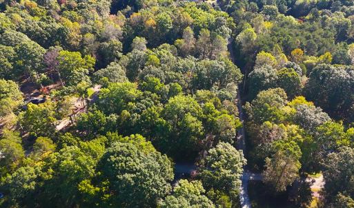 Photo #2 of Off Meriwether Ln, Haw River, NC 1.0 acres