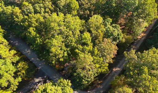 Photo #22 of Off Meriwether Ln, Haw River, NC 1.0 acres