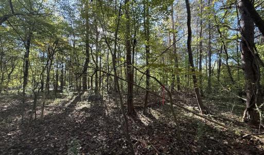 Photo #23 of Off Meriwether Ln, Haw River, NC 1.0 acres