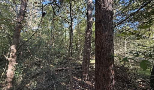 Photo #24 of Off Meriwether Ln, Haw River, NC 1.0 acres