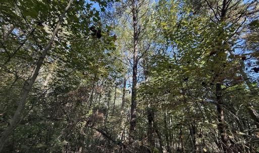 Photo #25 of Off Meriwether Ln, Haw River, NC 1.0 acres