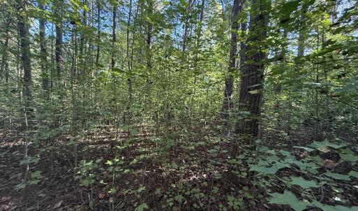 Photo #26 of Off Meriwether Ln, Haw River, NC 1.0 acres