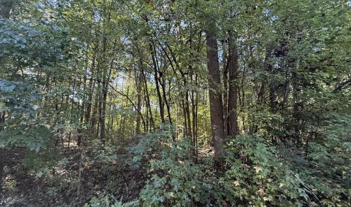 Photo #28 of Off Meriwether Ln, Haw River, NC 1.0 acres
