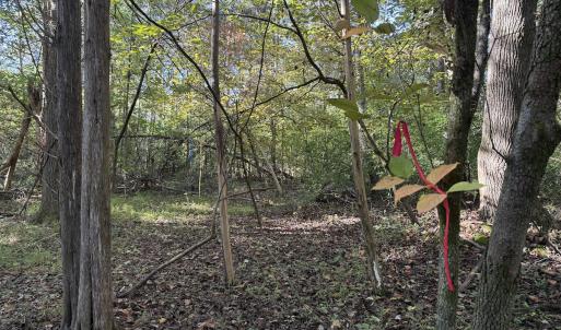 Photo #6 of Off Meriwether Ln, Haw River, NC 1.0 acres