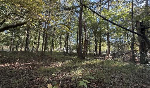 Photo #9 of Off Meriwether Ln, Haw River, NC 1.0 acres