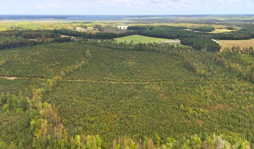 Photo #10 of Off Hwy 11 , Kenansville, NC 269.6 acres