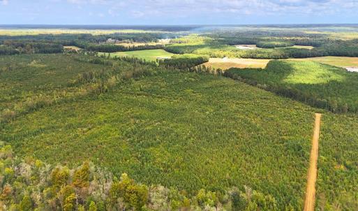 Photo #11 of Off Hwy 11 , Kenansville, NC 269.6 acres