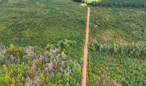 Photo #12 of Off Hwy 11 , Kenansville, NC 269.6 acres