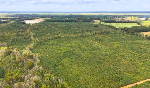 Photo #13 of Off Hwy 11 , Kenansville, NC 269.6 acres
