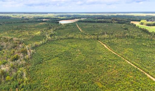 Photo #14 of Off Hwy 11 , Kenansville, NC 269.6 acres