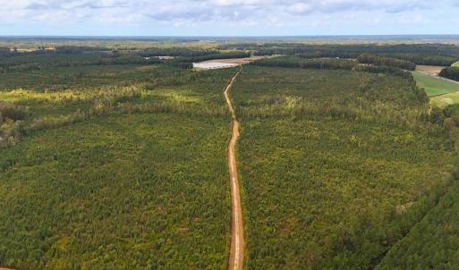 Photo #15 of Off Hwy 11 , Kenansville, NC 269.6 acres