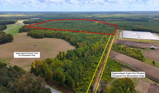 Photo #2 of Off Hwy 11 , Kenansville, NC 269.6 acres