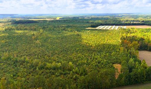 Photo #20 of Off Hwy 11 , Kenansville, NC 269.6 acres