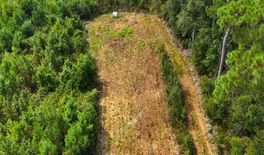 Photo #22 of Off Hwy 11 , Kenansville, NC 269.6 acres