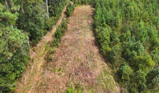 Photo #23 of Off Hwy 11 , Kenansville, NC 269.6 acres