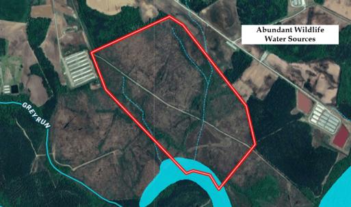 Photo #24 of Off Hwy 11 , Kenansville, NC 269.6 acres