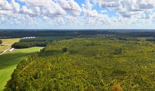 Photo #26 of Off Hwy 11 , Kenansville, NC 269.6 acres
