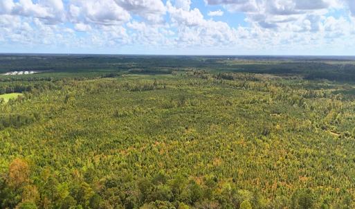 Photo #27 of Off Hwy 11 , Kenansville, NC 269.6 acres