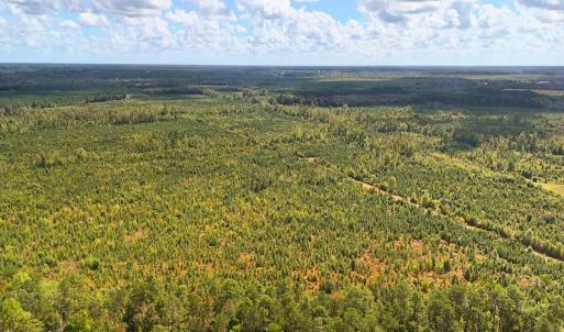 Photo #28 of Off Hwy 11 , Kenansville, NC 269.6 acres