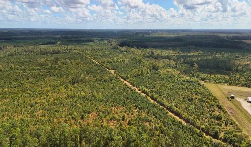 Photo #29 of Off Hwy 11 , Kenansville, NC 269.6 acres