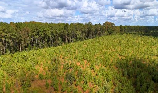 Photo #34 of Off Hwy 11 , Kenansville, NC 269.6 acres