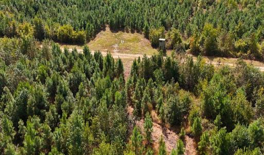 Photo #35 of Off Hwy 11 , Kenansville, NC 269.6 acres