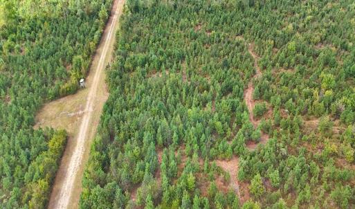 Photo #36 of Off Hwy 11 , Kenansville, NC 269.6 acres