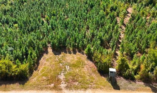 Photo #37 of Off Hwy 11 , Kenansville, NC 269.6 acres