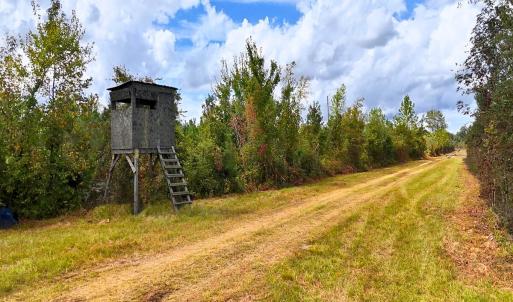 Photo #38 of Off Hwy 11 , Kenansville, NC 269.6 acres
