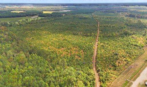 Photo #5 of Off Hwy 11 , Kenansville, NC 269.6 acres