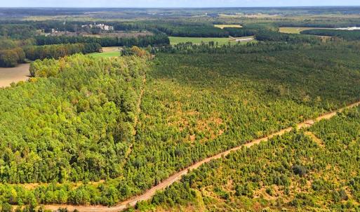Photo #7 of Off Hwy 11 , Kenansville, NC 269.6 acres