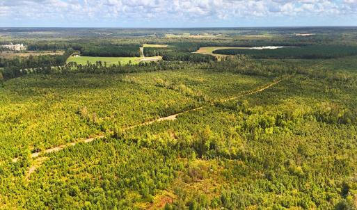 Photo #8 of Off Hwy 11 , Kenansville, NC 269.6 acres