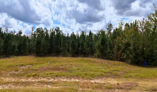 Photo #43 of Off Hwy 11 , Kenansville, NC 269.6 acres