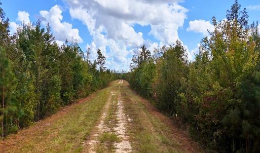 Photo #44 of Off Hwy 11 , Kenansville, NC 269.6 acres