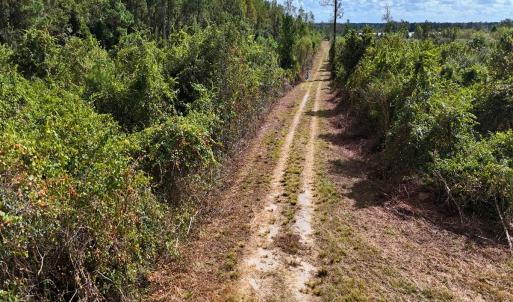 Photo #49 of Off Hwy 11 , Kenansville, NC 269.6 acres