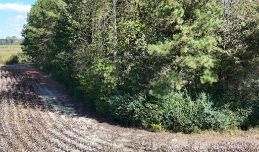 Photo #10 of Off Little Low Ground Rd, Emporia, VA 4.6 acres