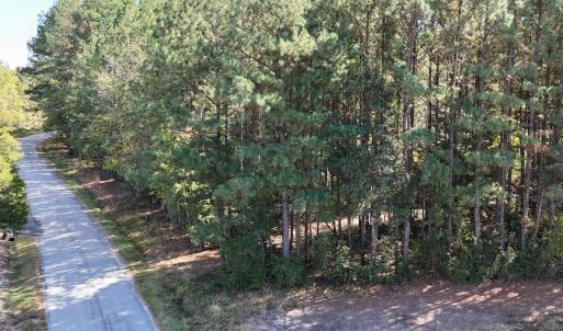 Photo #11 of Off Little Low Ground Rd, Emporia, VA 4.6 acres